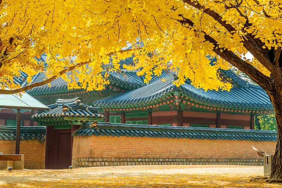 Thai ETA for South Korean Citizens featured image