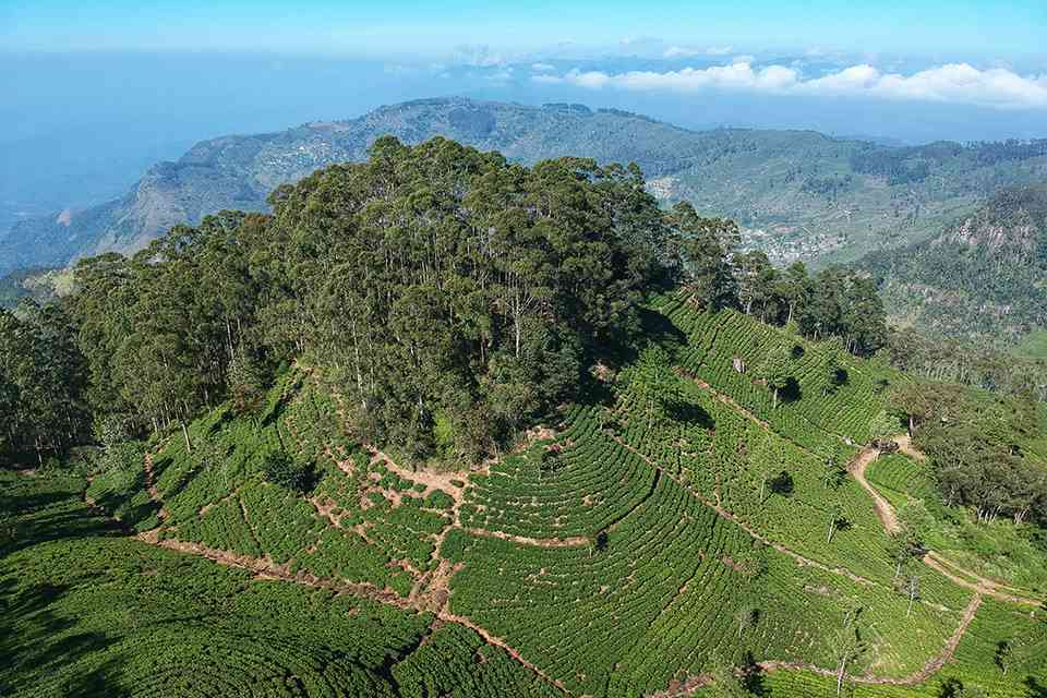 ETA Thailand untuk Warga Negara Sri Lanka featured image