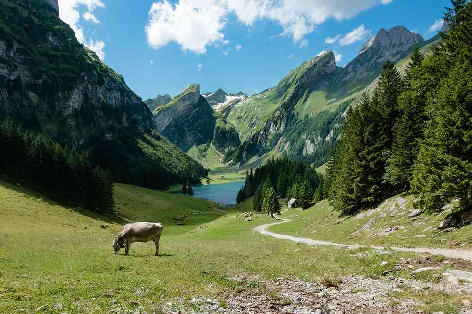 ETA Thailand untuk Warga Negara Swiss featured image
